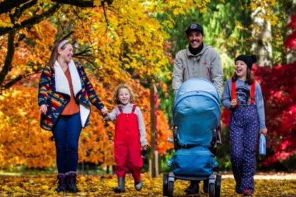 Autumn Activities