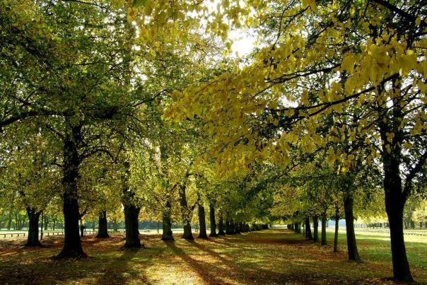 Coventry Parks