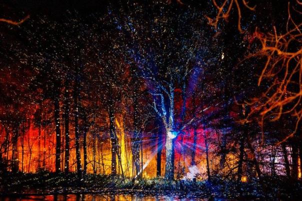 Luminate Coombe Abbey