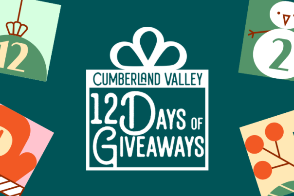 12 Days of Giveaways