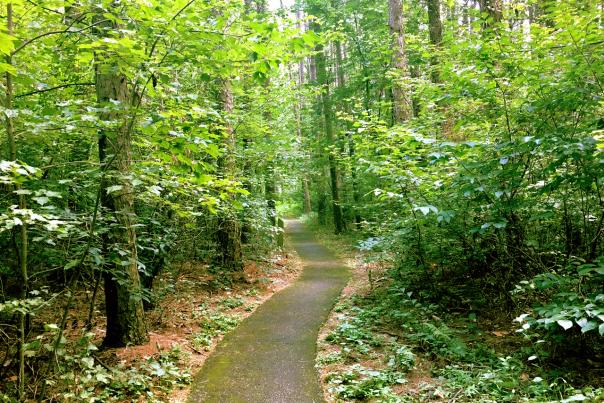 Whispering Pines Trail in Kings Gap