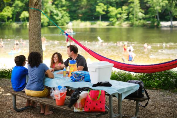 Laurel Lake