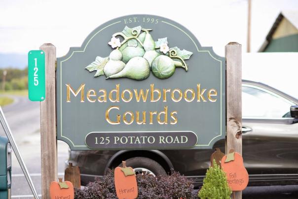 MEADOWBROOKE%2BGOURDS-XL