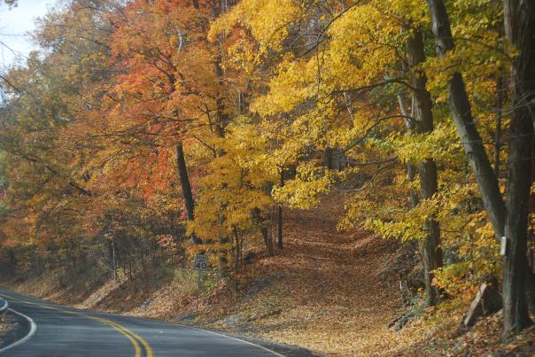 The road near Newville, PA winds through a forest of changing fall foliage.