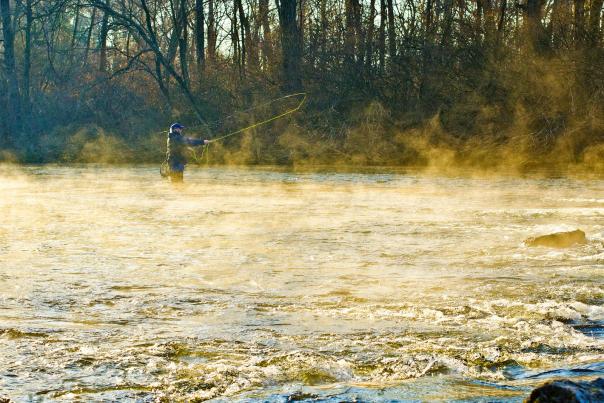 Man Fly Fishing in Cumberland Valley
