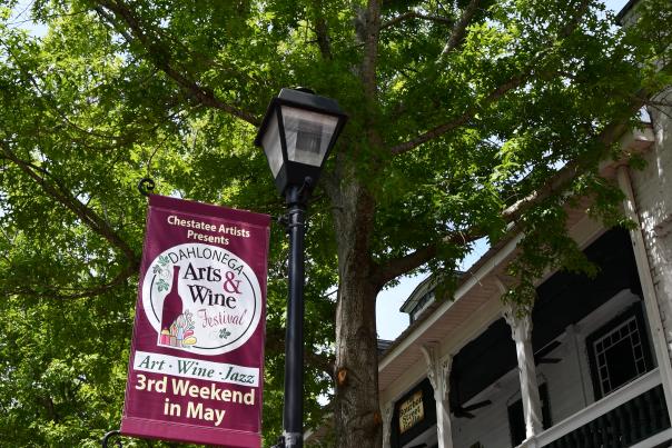 Art and Wine Festival sign on lamp post