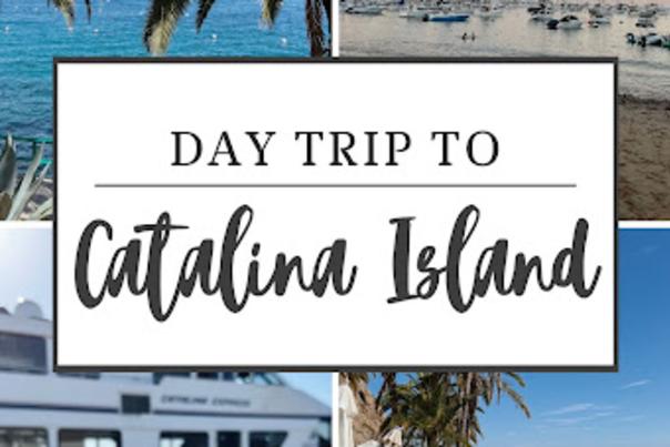 Day Trip To Catalina Island