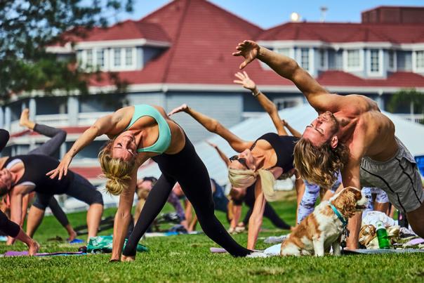 Health & Wellness Hero Tablet