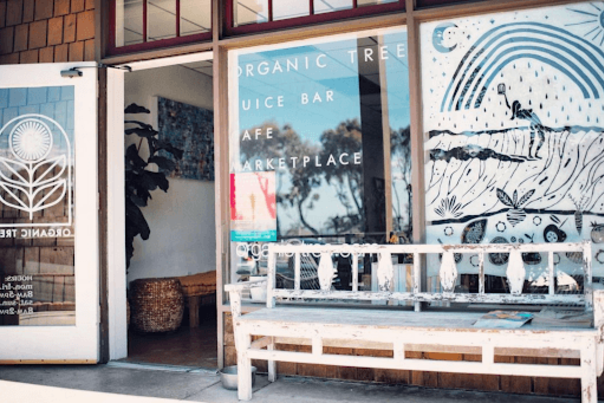 Organic-Tree-Storefront-Dana-Point