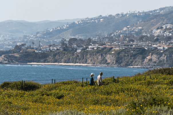 Screenshot 2024-06-26 152436