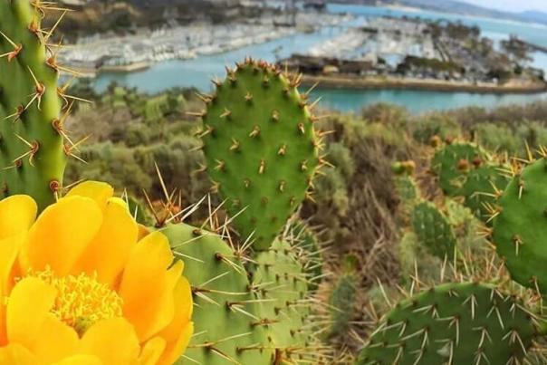 fd8b58915ed6c9-LU57861602