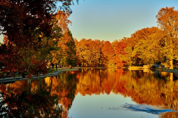 fall foliage reflecting against a lake in a park