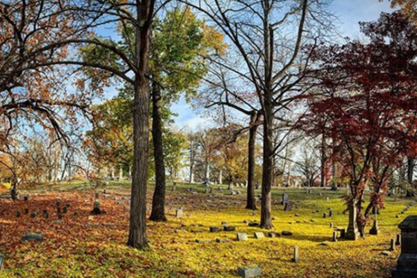 Graveyard In The Forest In Dayton, Ohio