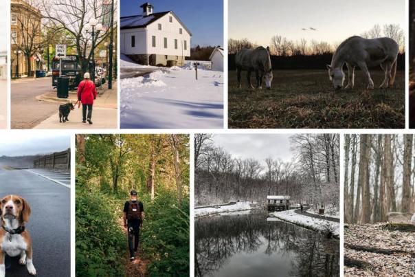 Outdoor recreation in Dayton