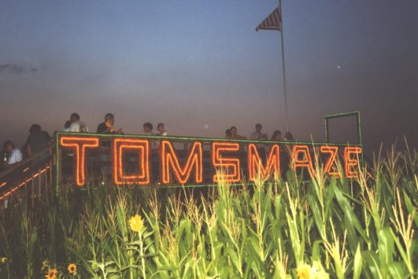 Tom's Maze