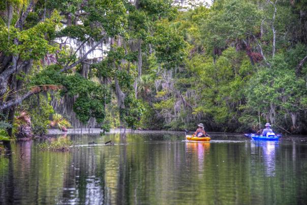 Daytona Beach Kayaking Spruce Creek