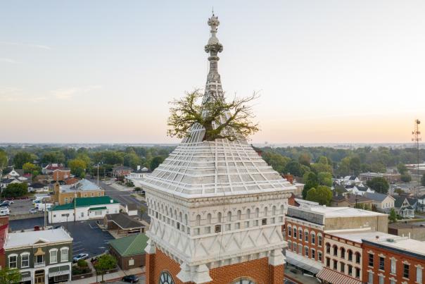 Tree in the Courthouse Tower in Greensburg, Indiana