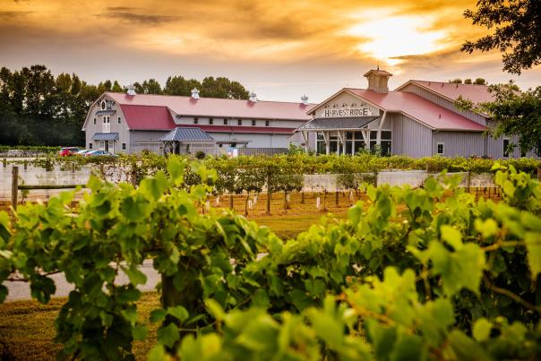 Delaware on Tap's Top Outdoor Spots