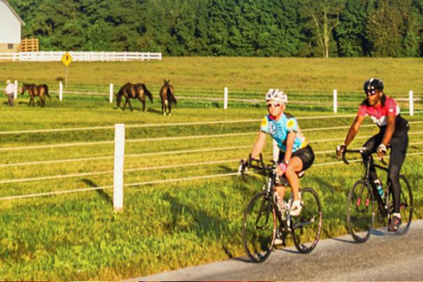 Scenic Bike Trails 