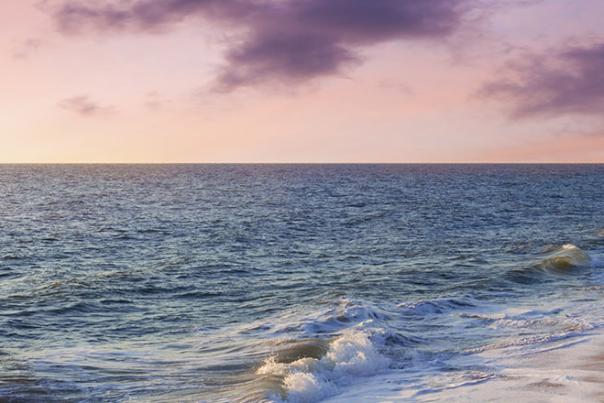 Delaware's Top Live Entertainment Destinations