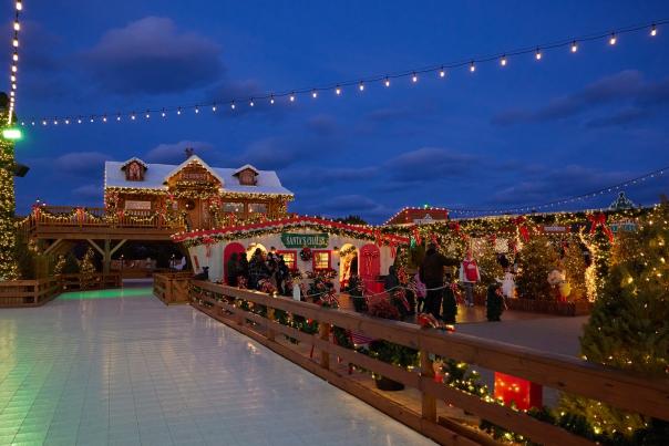 Schellville's Winter Celebration