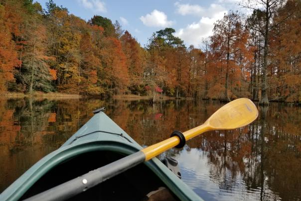 Trap Pond State Park