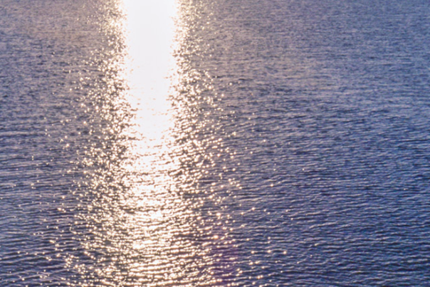 Things to Do in Fenwick Island