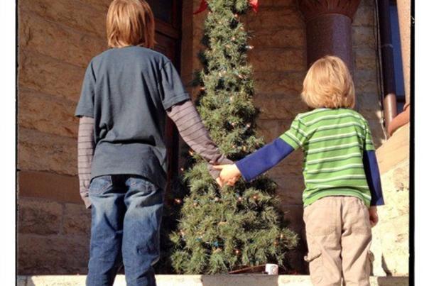 Boys and xmas tree