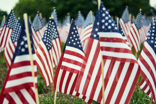 Small American flags grouped on a lawn
