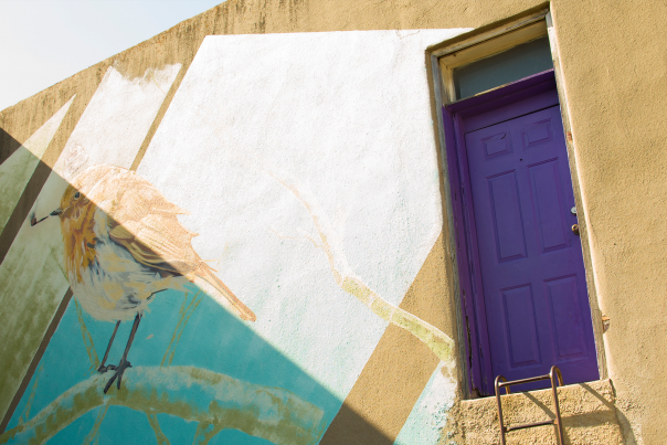 A cement wall with a mural of a wren and an exterior door painted vibrant purple.