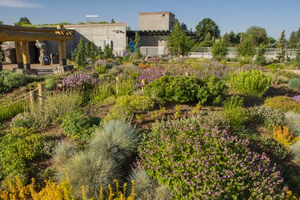 Mordecai Children’s Garden at Denver Botanic Gardens