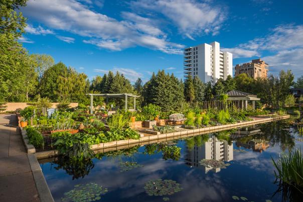 One of the reflecting pools with lily pads Denver Botanic Gardens in Denver, Colorado