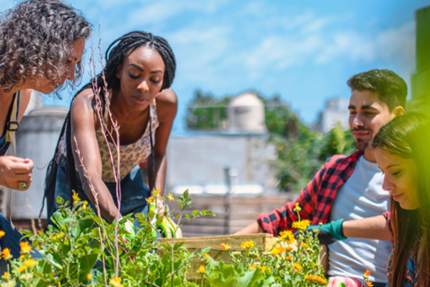 A group working in a garden at Dahlia Campus for Health & Well-Being