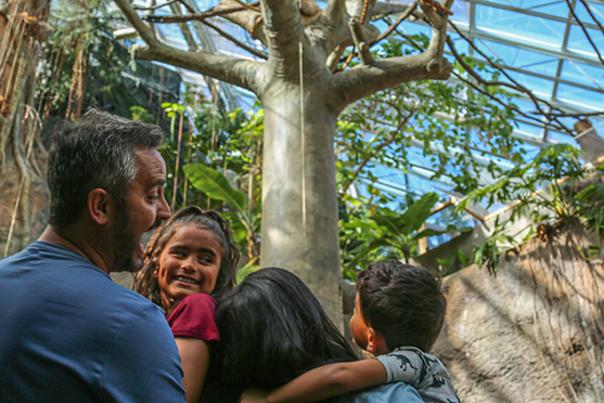 Denver Zoo's Tropical Discovery exhibit