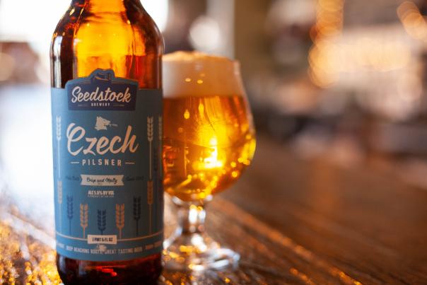 Seedstock Brewery in Denver, Colorado