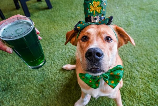 St. Patrick's Day 2025