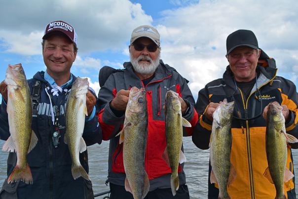 Aaron McQuoid holds up siz large walleyes he caught with his guests while fishing on Devils Lake, North Dakota.