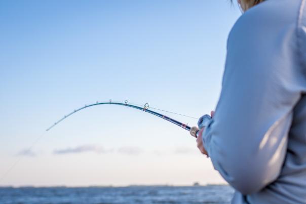 Fishing Rod