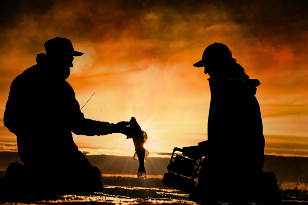 Two men ice fishing on Devils Lake, North Dakota, pulling a walleye through the frozen lake with the sun setting over the lake.