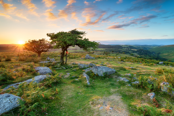 dartmoor blog