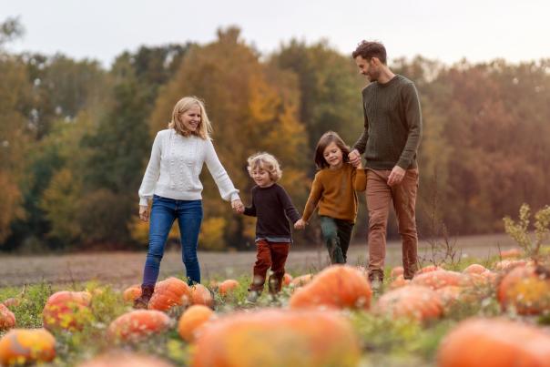 Where to stay for half term
