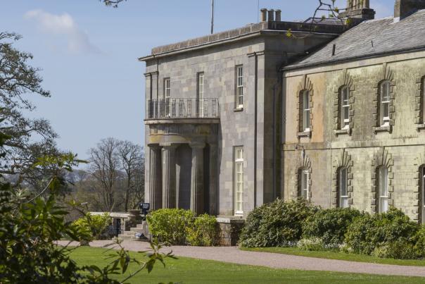 Arlington court