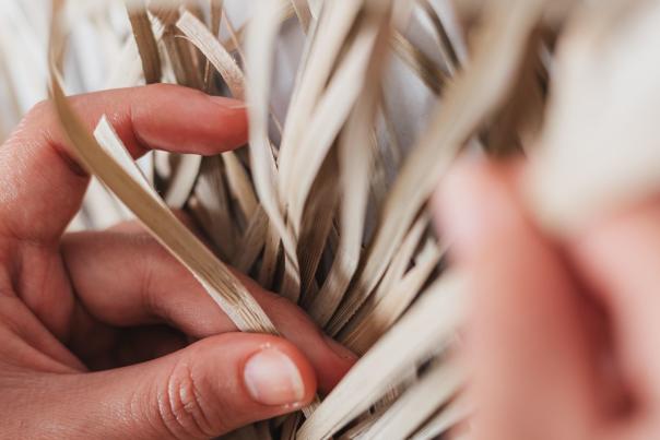 Seaton Wetlands Announces Exciting New Partnership with Earth Rights Collective to Deliver Willow Workshops