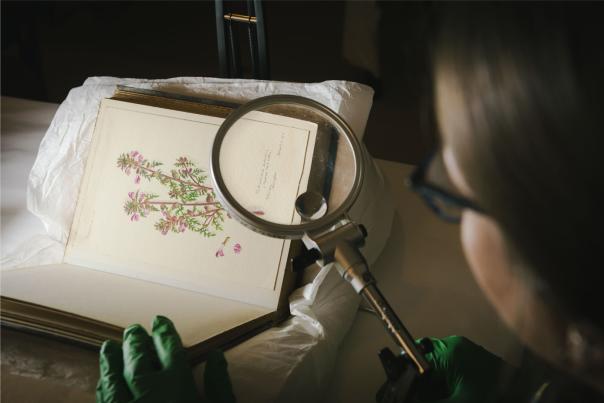 National Trust water colours