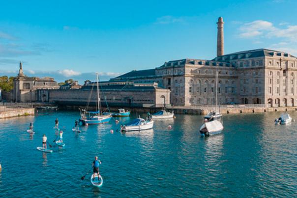 Sink your teeth into shark month at royal william yard