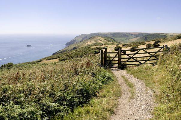 best walking routes in Devon