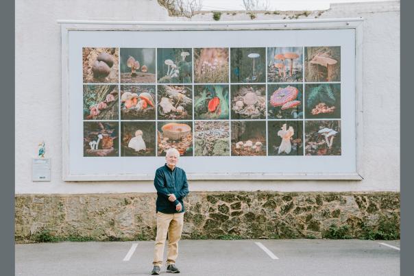 Sidmouth’s Kingdom of Fungi