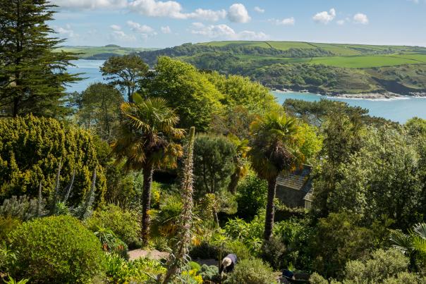 View over the Salcombe Estuary from the house and garden at Overbeck's, Devon