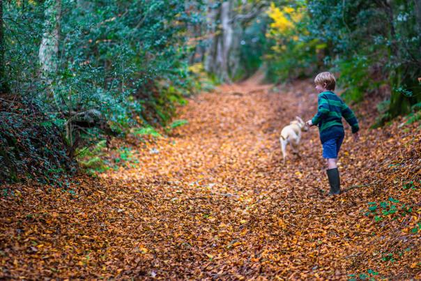 Top things to do in East Devon