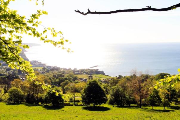 Celebrate Sidmouth’s biodiversity this June